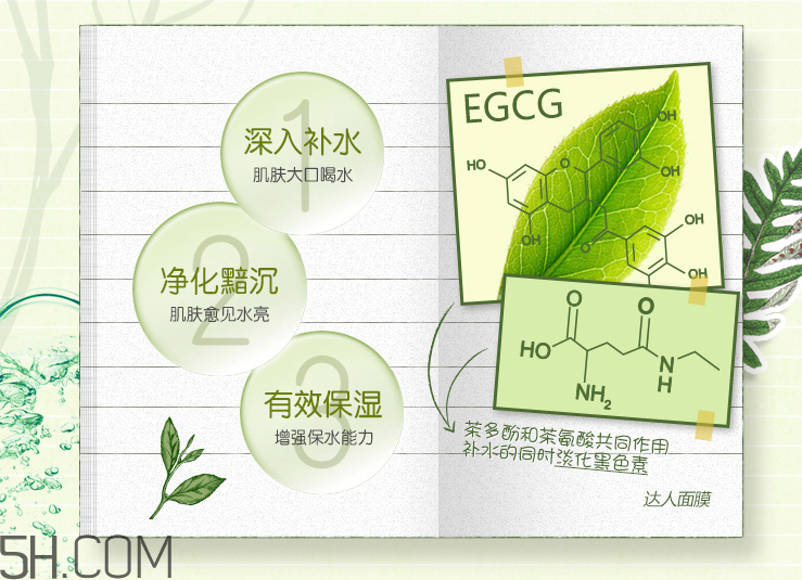 韓后達人京都玉露補水面膜