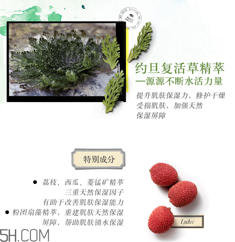 悅木之源復(fù)活草水潤修護(hù)凝霜